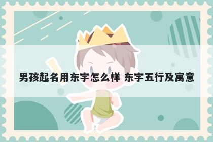 男孩起名用东字怎么样 东字五行及寓意
