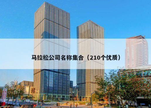 马拉松公司名称集合（210个优质）