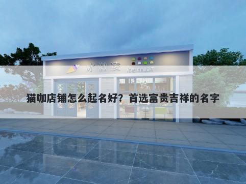 猫咖店铺怎么起名好？首选富贵吉祥的名字