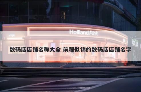 数码店店铺名称大全 前程似锦的数码店店铺名字