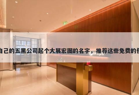 给自己的五黑公司起个大展宏图的名字，推荐这些免费的使用