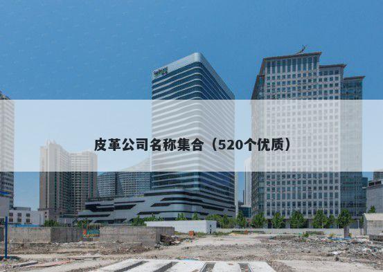 皮革公司名称集合（520个优质）