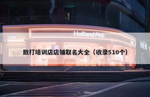 散打培训店店铺取名大全（收录510个）