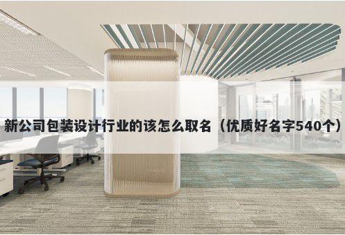 新公司包装设计行业的该怎么取名（优质好名字540个）