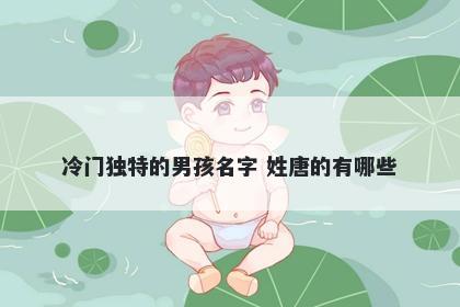 冷门独特的男孩名字 姓唐的有哪些