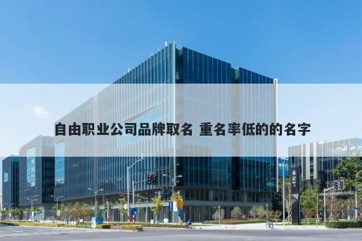 自由职业公司品牌取名 重名率低的的名字
