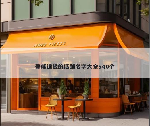 登峰造极的店铺名字大全540个