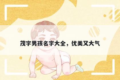 茂字男孩名字大全，优美又大气