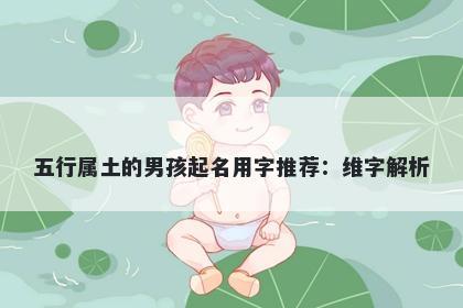 五行属土的男孩起名用字推荐：维字解析