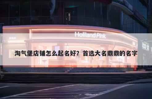 淘气堡店铺怎么起名好？首选大名鼎鼎的名字