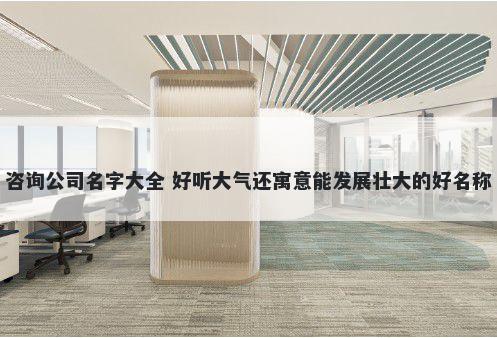 咨询公司名字大全 好听大气还寓意能发展壮大的好名称
