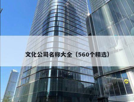 文化公司名称大全（560个精选）