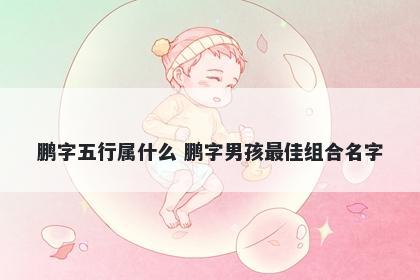 鹏字五行属什么 鹏字男孩最佳组合名字
