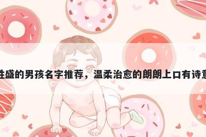 姓盛的男孩名字推荐，温柔治愈的朗朗上口有诗意