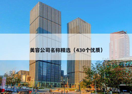美容公司名称精选（430个优质）