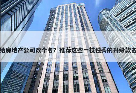 想给房地产公司改个名？推荐这些一枝独秀的升级款名称