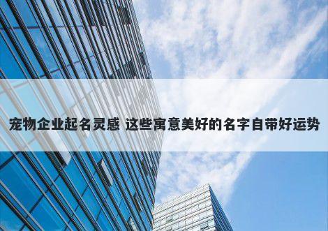 宠物企业起名灵感 这些寓意美好的名字自带好运势