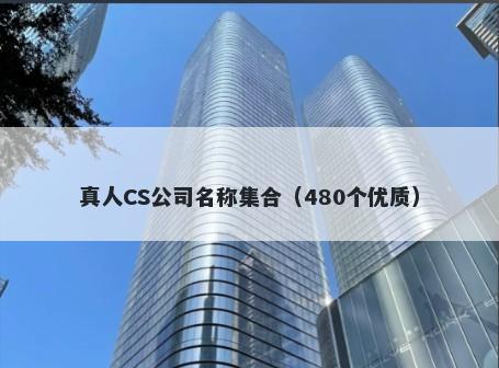 真人CS公司名称集合（480个优质）