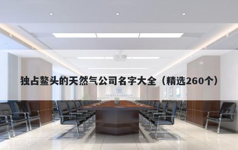 独占鳌头的天然气公司名字大全（精选260个）