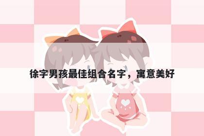 徐字男孩最佳组合名字，寓意美好