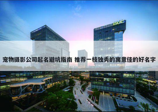 宠物摄影公司起名避坑指南 推荐一枝独秀的寓意佳的好名字