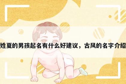 姓夏的男孩起名有什么好建议，古风的名字介绍