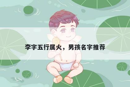 李字五行属火，男孩名字推荐