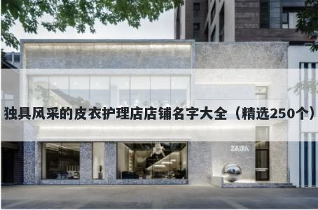 独具风采的皮衣护理店店铺名字大全（精选250个）