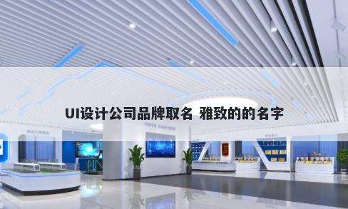 UI设计公司品牌取名 雅致的的名字