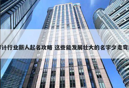 审计行业新人起名攻略 这些能发展壮大的名字少走弯路