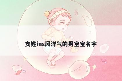 支姓ins风洋气的男宝宝名字