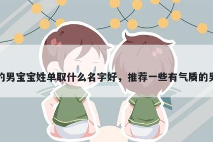 刚出生的男宝宝姓单取什么名字好，推荐一些有气质的男孩名字