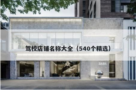 驾校店铺名称大全（540个精选）