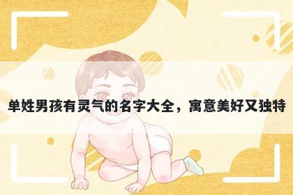 单姓男孩有灵气的名字大全，寓意美好又独特