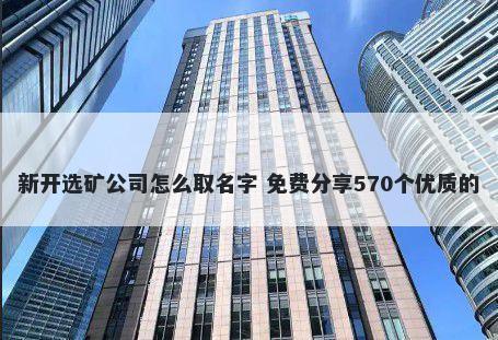 新开选矿公司怎么取名字 免费分享570个优质的
