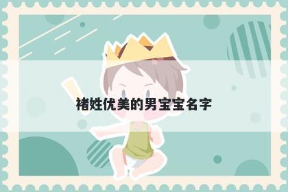 褚姓优美的男宝宝名字