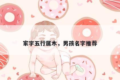 家字五行属木，男孩名字推荐