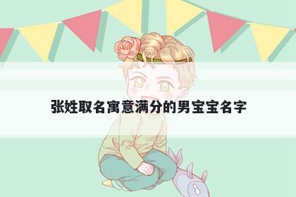张姓取名寓意满分的男宝宝名字