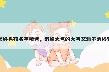 孟姓男孩名字精选，沉稳大气的大气文雅不落俗套