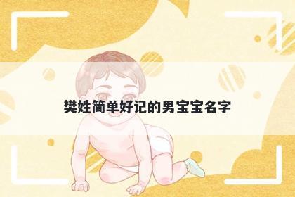 樊姓简单好记的男宝宝名字