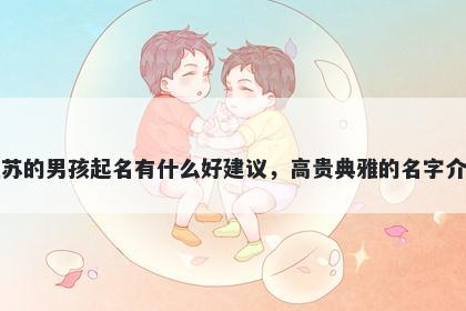 姓苏的男孩起名有什么好建议，高贵典雅的名字介绍