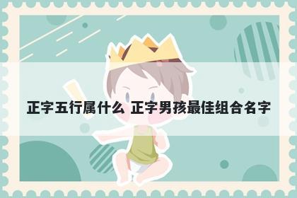 正字五行属什么 正字男孩最佳组合名字