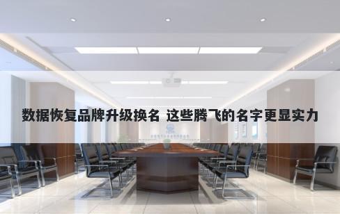 数据恢复品牌升级换名 这些腾飞的名字更显实力