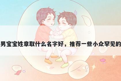 刚出生的男宝宝姓章取什么名字好，推荐一些小众罕见的男孩名字