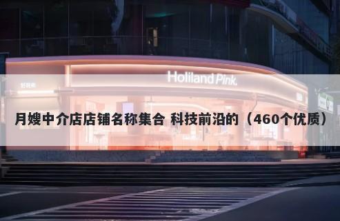 月嫂中介店店铺名称集合 科技前沿的（460个优质）