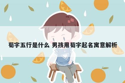 荀字五行是什么 男孩用荀字起名寓意解析