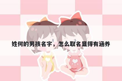 姓何的男孩名字，怎么取名显得有涵养