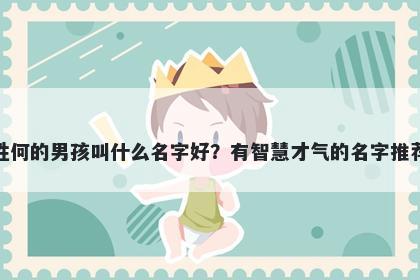 姓何的男孩叫什么名字好？有智慧才气的名字推荐
