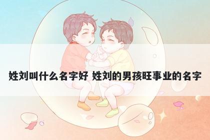 姓刘叫什么名字好 姓刘的男孩旺事业的名字