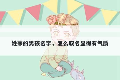 姓茅的男孩名字，怎么取名显得有气质